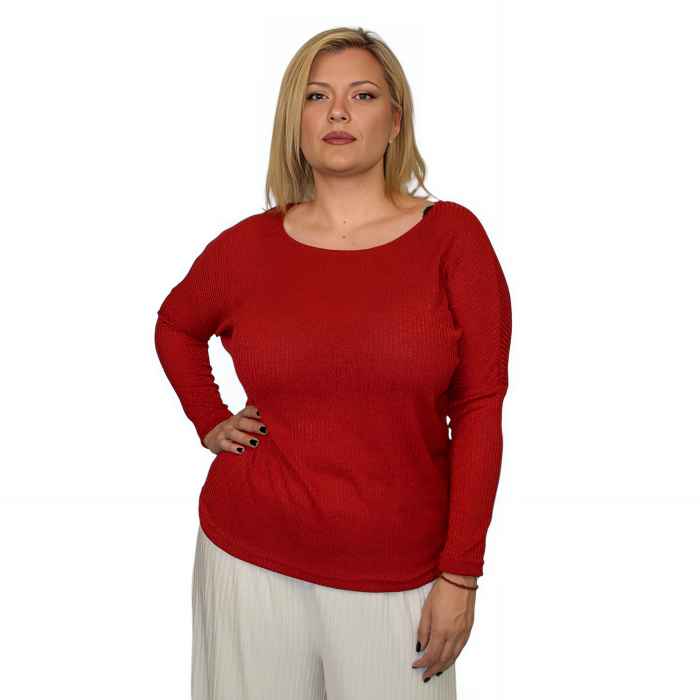 PLUS SIZE ΜΠΛΟΥΖΑ ΜΑΚΡΥΜΑΝΙΚΗ