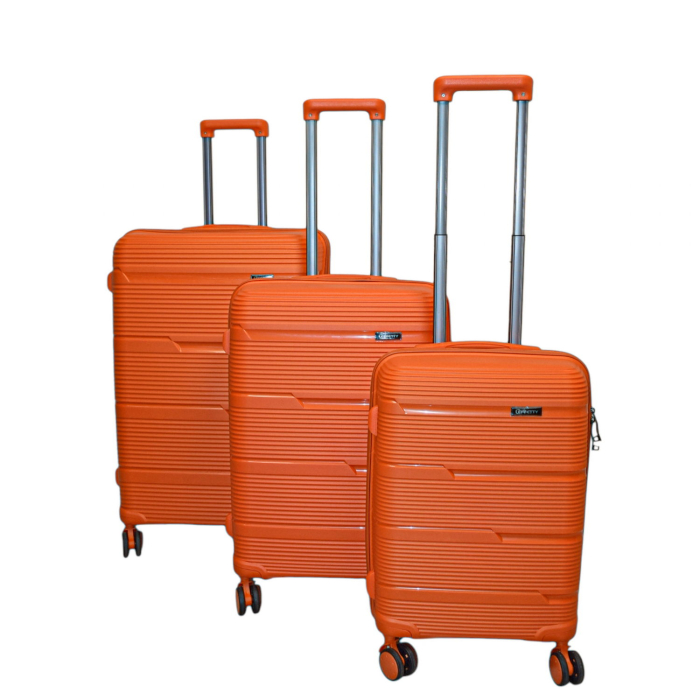 BAGS SET ΜΕ 4 ΡΟΔΕΣ
